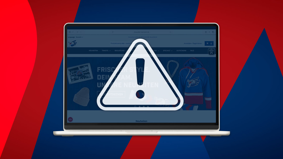 Softwareumstellung im Onlineshop