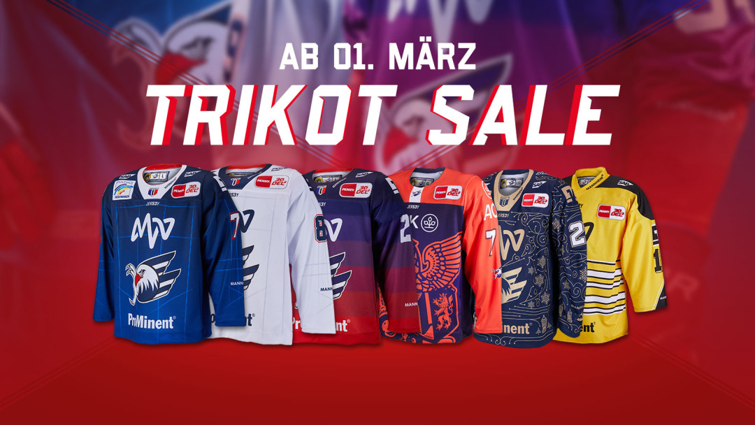 Fan deals trikot sale