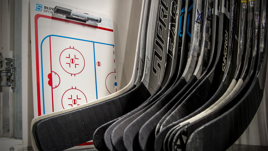 DEL legt Stufenplan zur Nachwuchsförderung vor