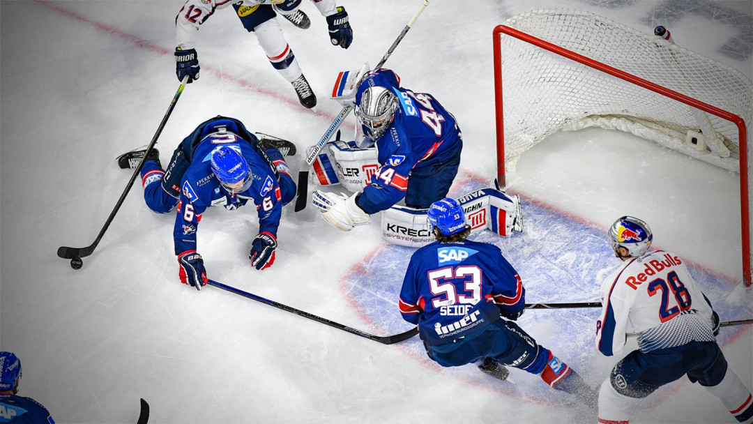 Vier Adler stoßen zur Nationalmannschaft