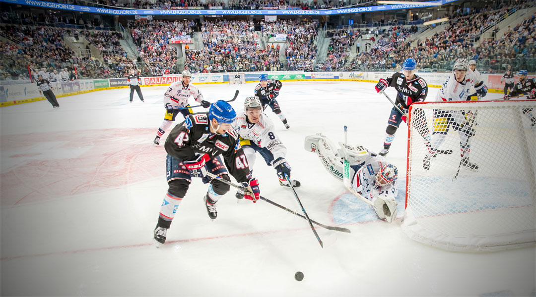 Eisbären-Doppelpack am Wochenende