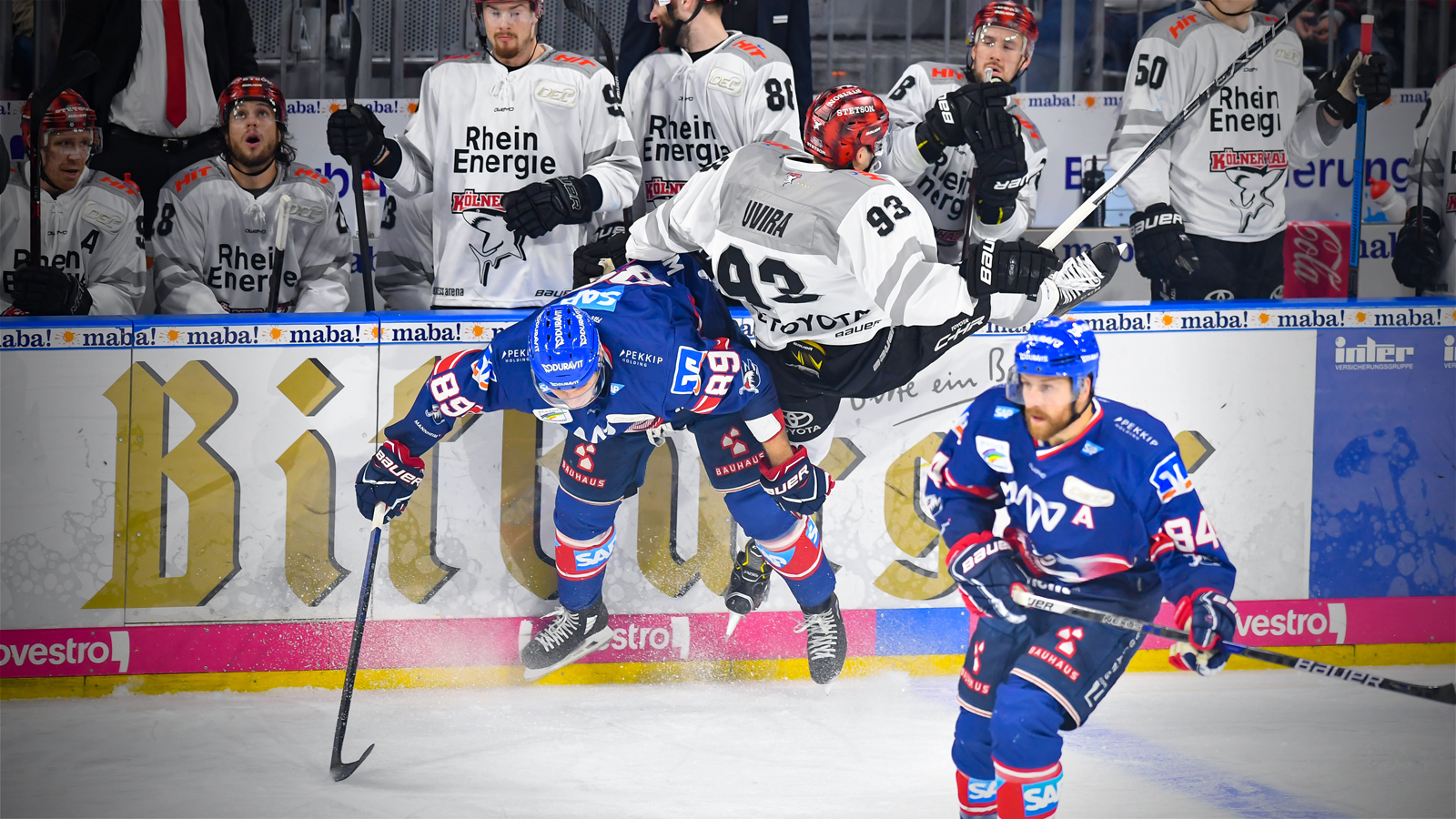 Endlich Wieder Eishockey » Adler Mannheim