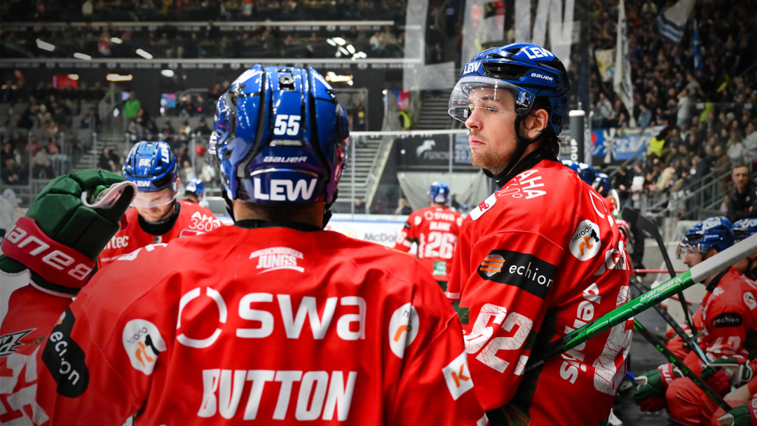 Performance-Check: Augsburger Panther