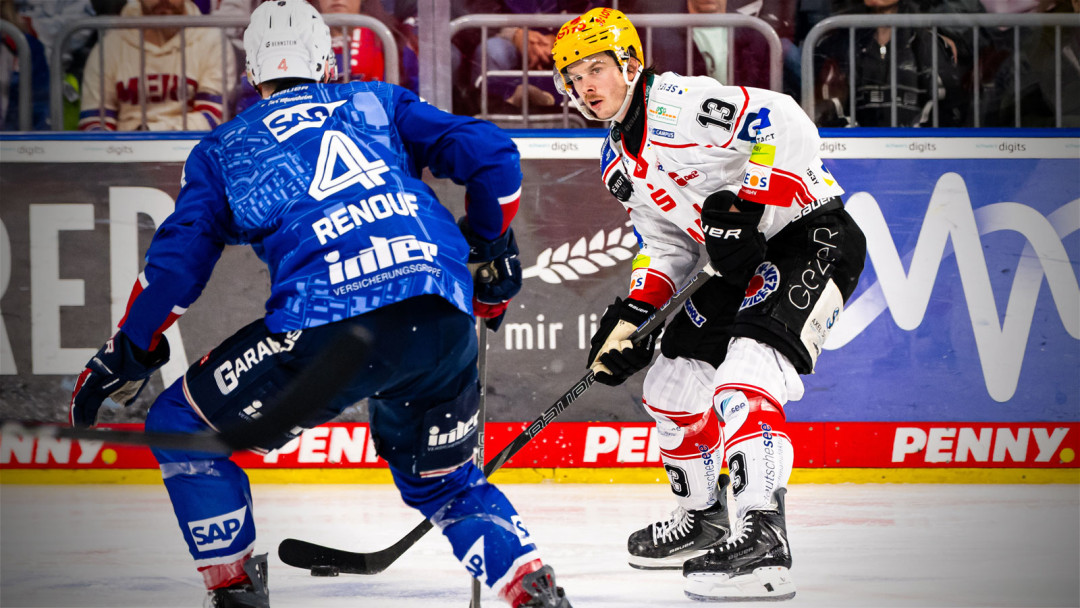 Performance-Check: Fischtown Pinguins Bremerhaven