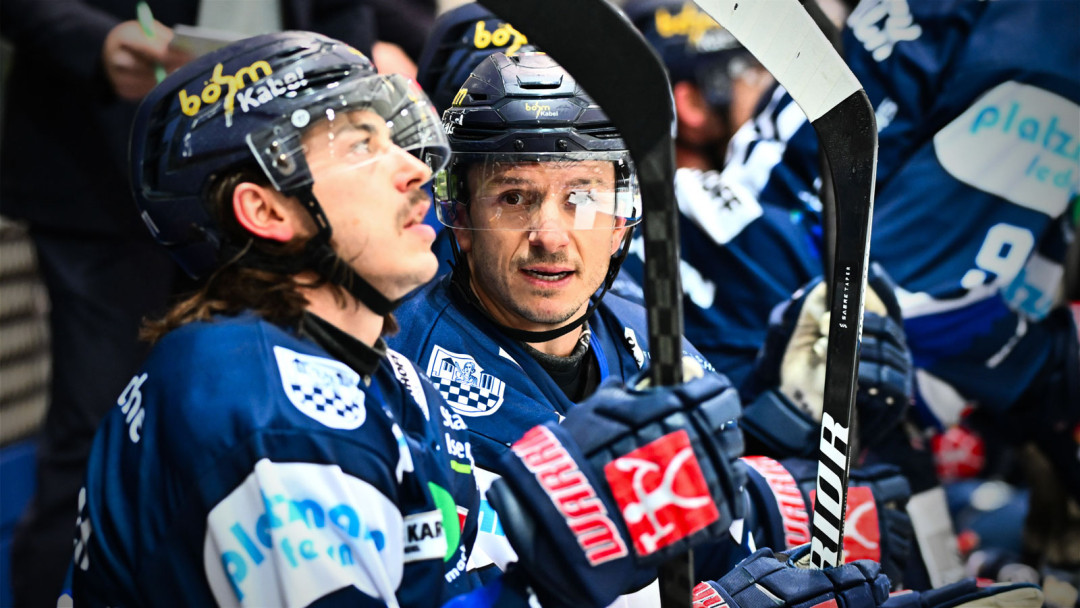 Performance-Check: Iserlohn Roosters