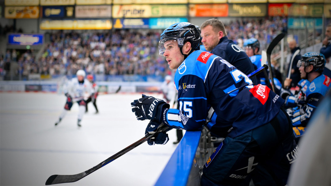 Performance-Check: ERC Ingolstadt