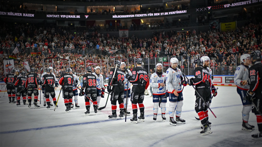 Performance-Check: Kölner Haie