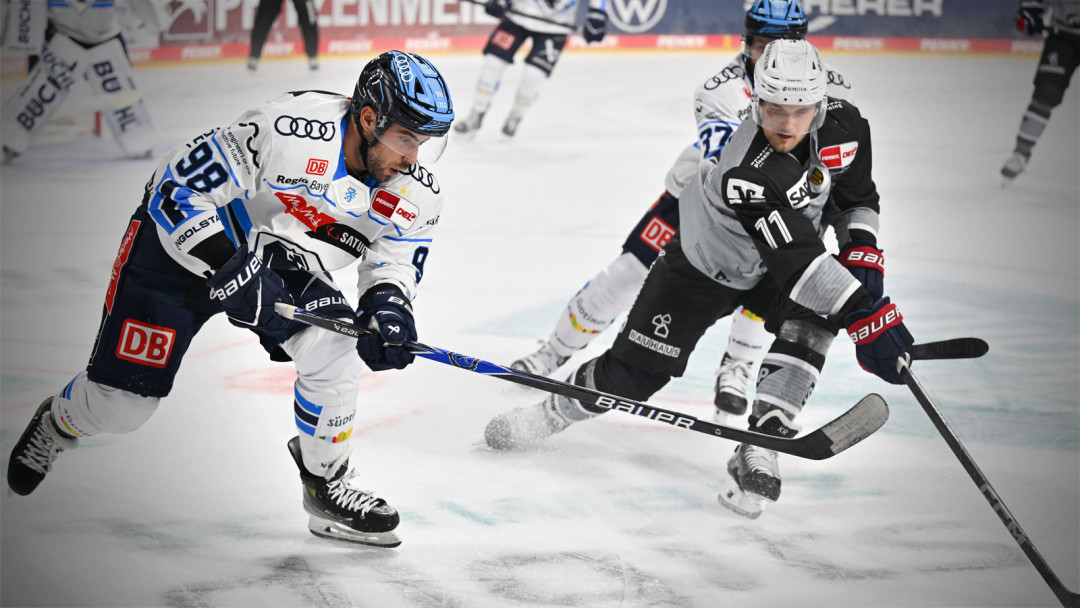 Adler mit starkem Schlussspurt