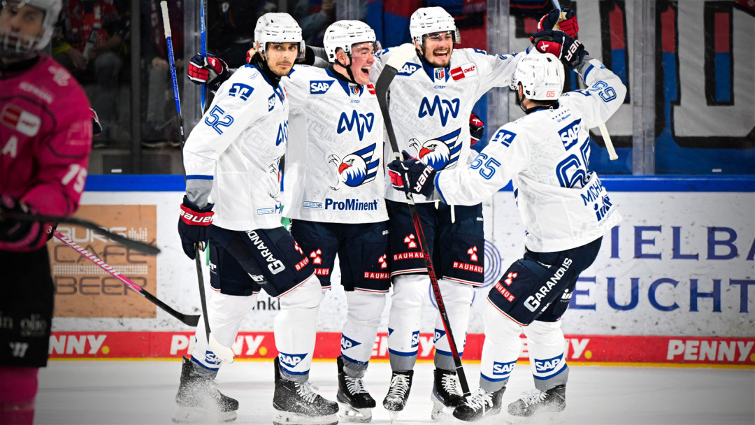 Adler zurück in der Spur 