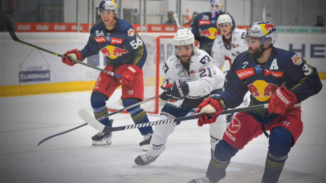 Adler mit starker Vorstellung