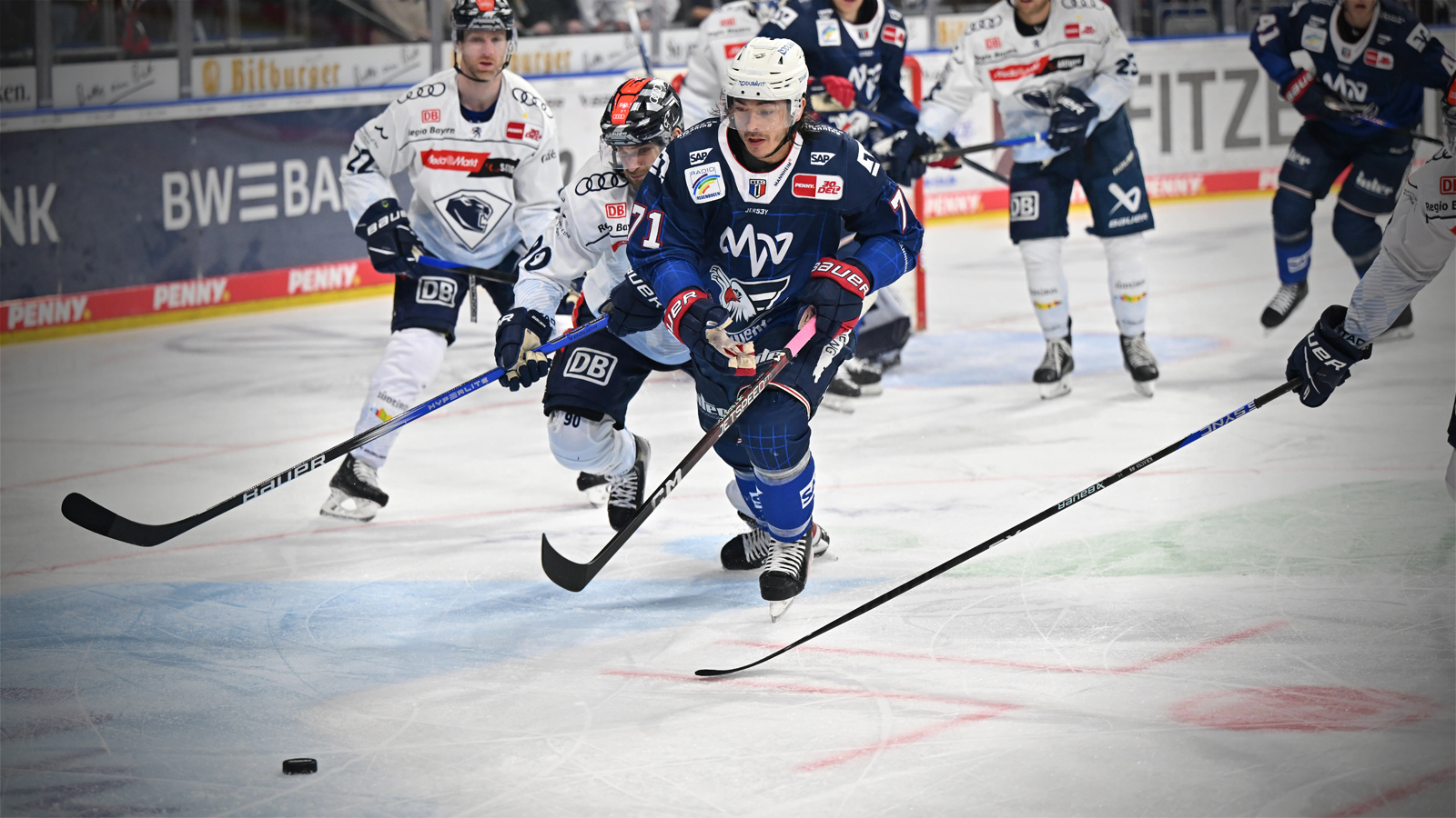 Fischbuch: „Die einfachen Sachen richtig gemacht“ » Adler Mannheim