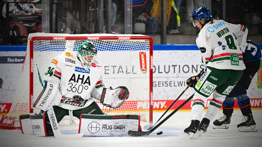 Teamcheck: Augsburger Panther