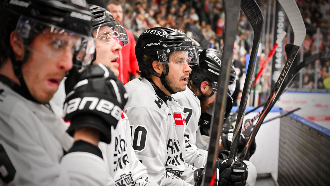 Teamcheck: Kölner Haie