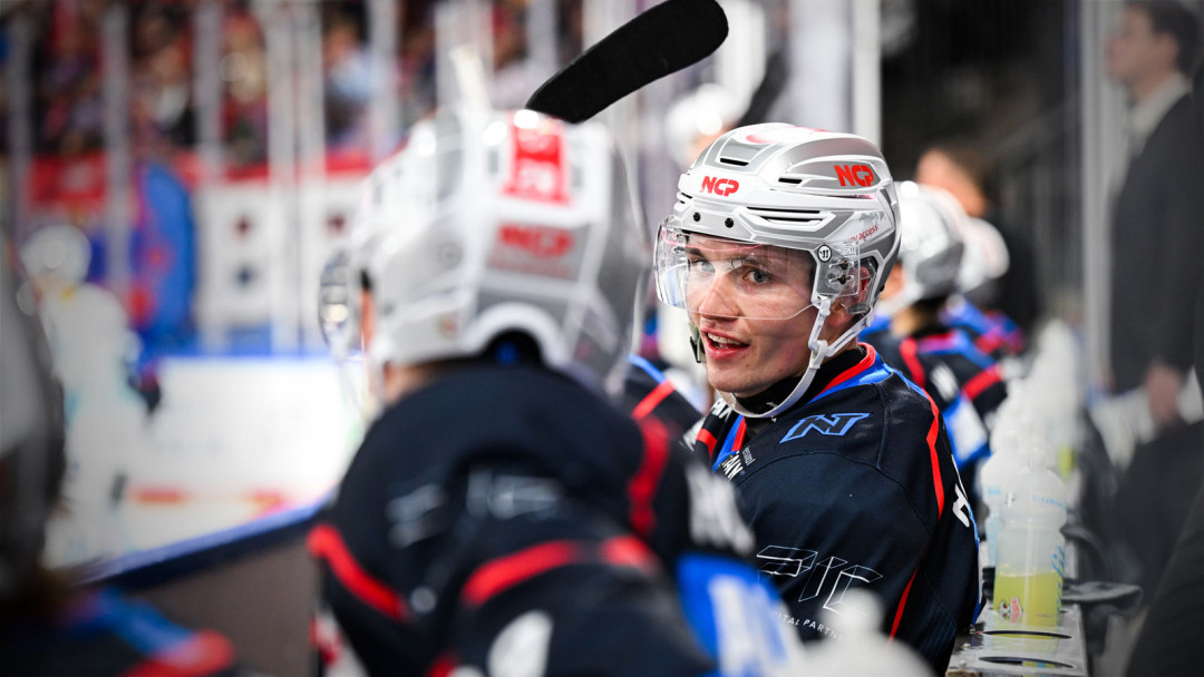 Teamcheck: Nürnberg Ice Tigers