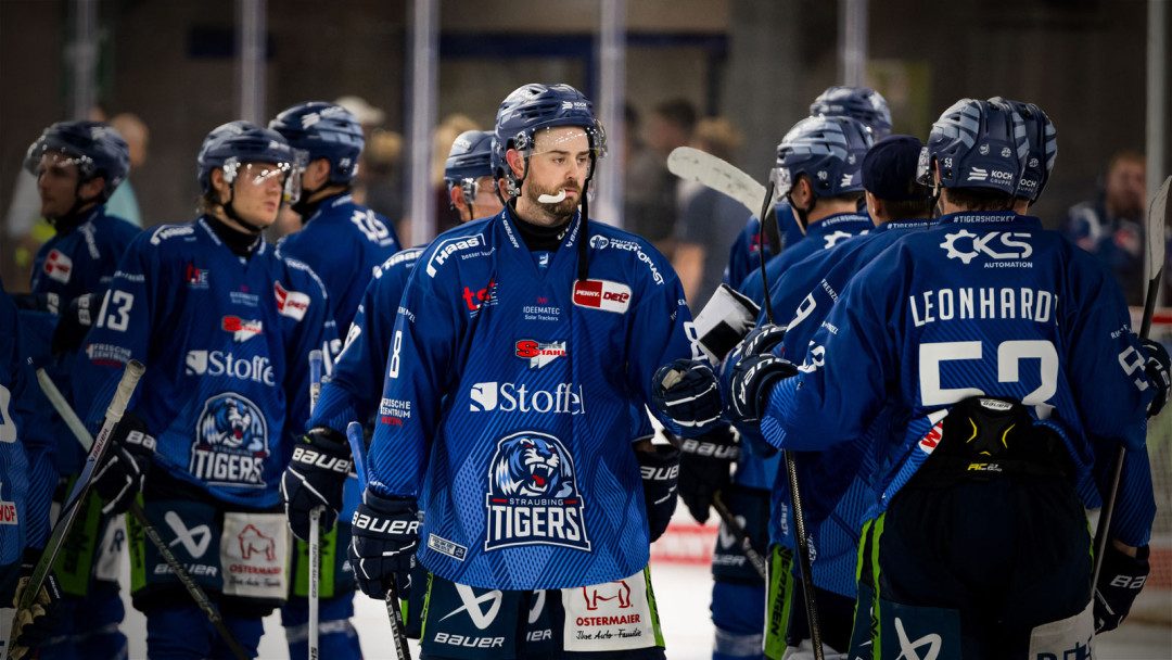 Teamcheck: Straubing Tigers