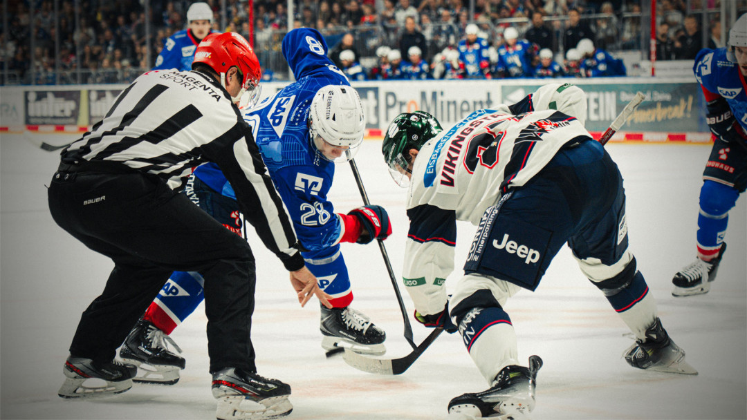 Das Gedächtnis eines Goldfischs