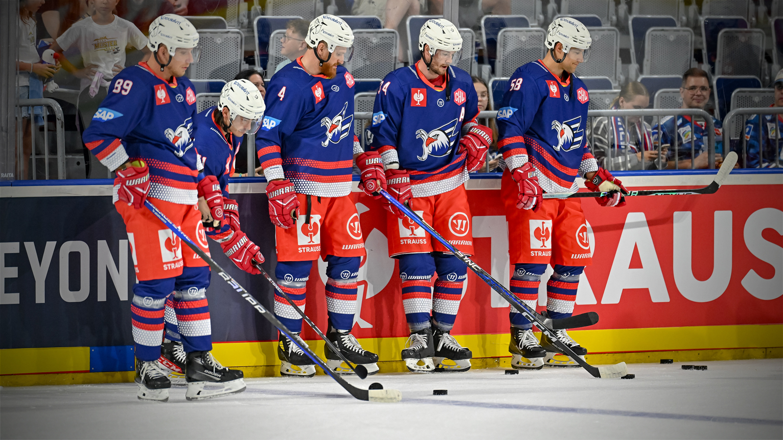 Panocha geht in die QMJHL – Adler Mannheim holen finnischen Angreifer  Markus Hännikäinen aus Schweden zurück - Eishockey NEWS
