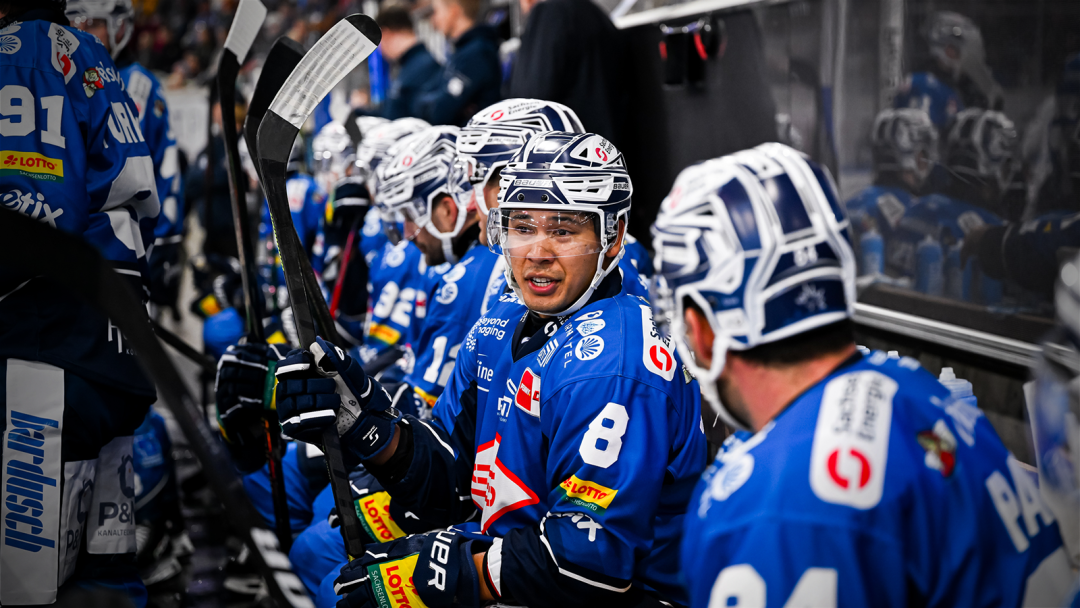 Performance-Check: Dresdner Eislöwen