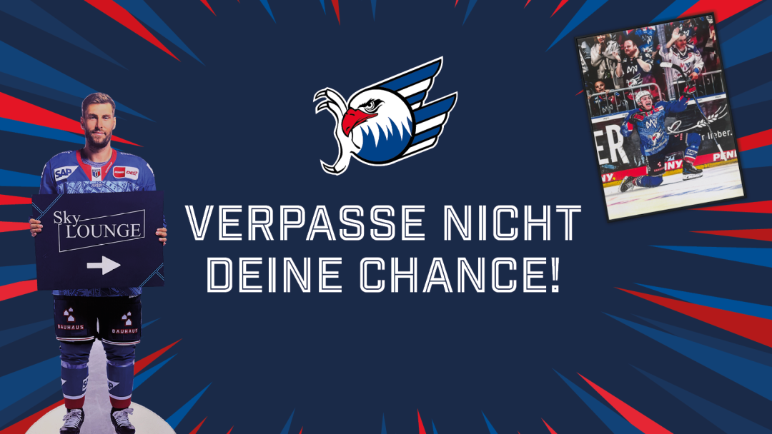 Dein Spieler für Zuhause
