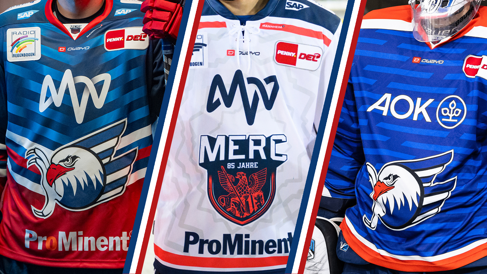 Adler Mannheim Eishockey Trikot Rarität! in 67598 Gundersheim für 70,00 €  zum Verkauf