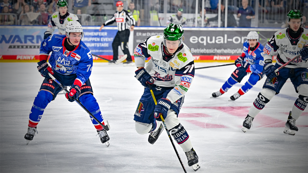 Im Auge des Adlers: Eisbären Berlin