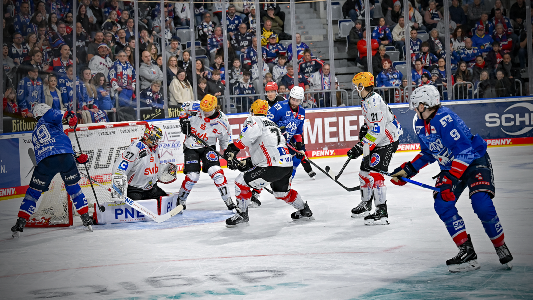 Im Auge des Adlers: Fischtown Pinguins Bremerhaven