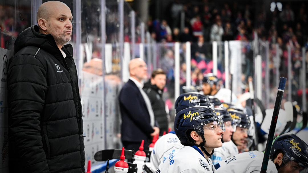 Performance-Check: Iserlohn Roosters