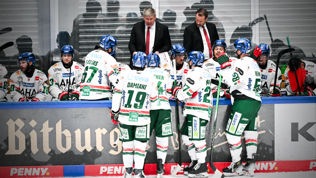 Performance-Check: Augsburger Panther