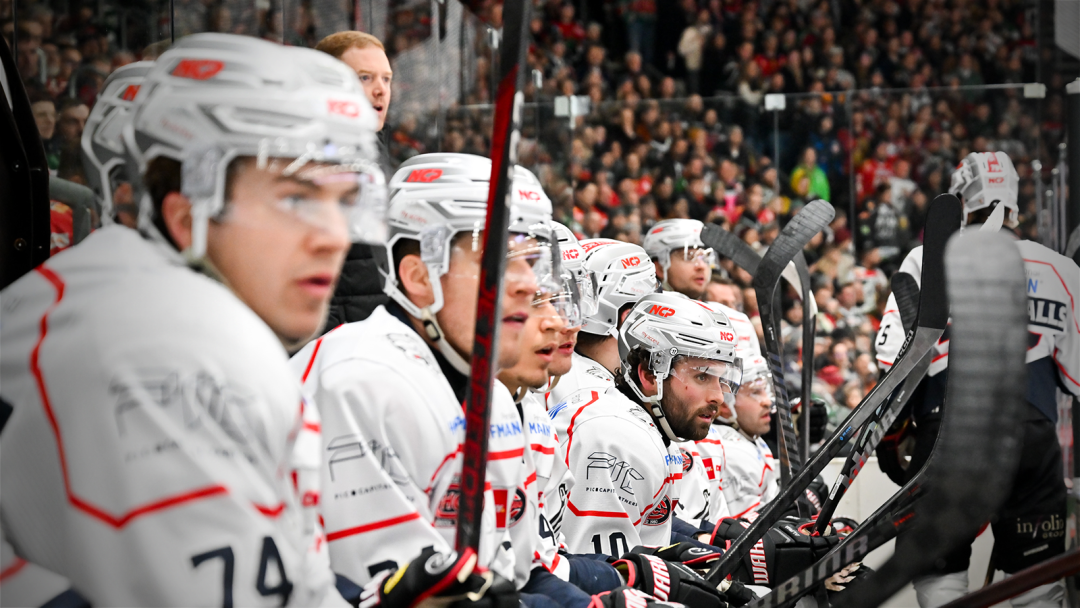 Performance-Check: Nürnberg Ice Tigers