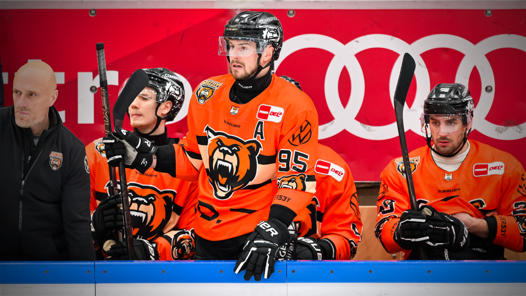 Performance-Check: Grizzlys Wolfsburg