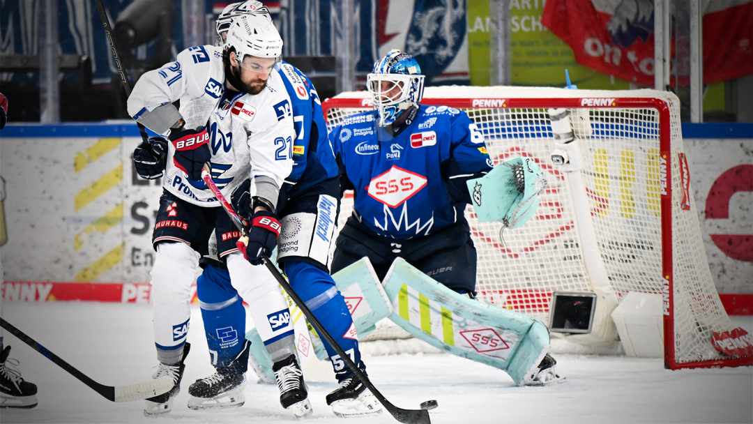 Sieg bei den Eislöwen