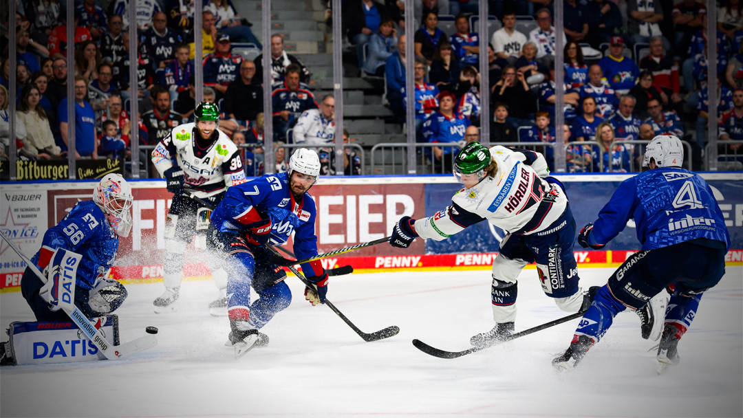 Adler mit dem Rücken zur Wand 