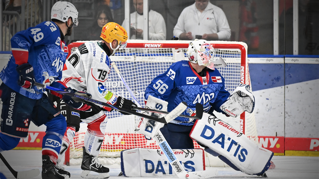 Heimsieg gegen die Pinguins