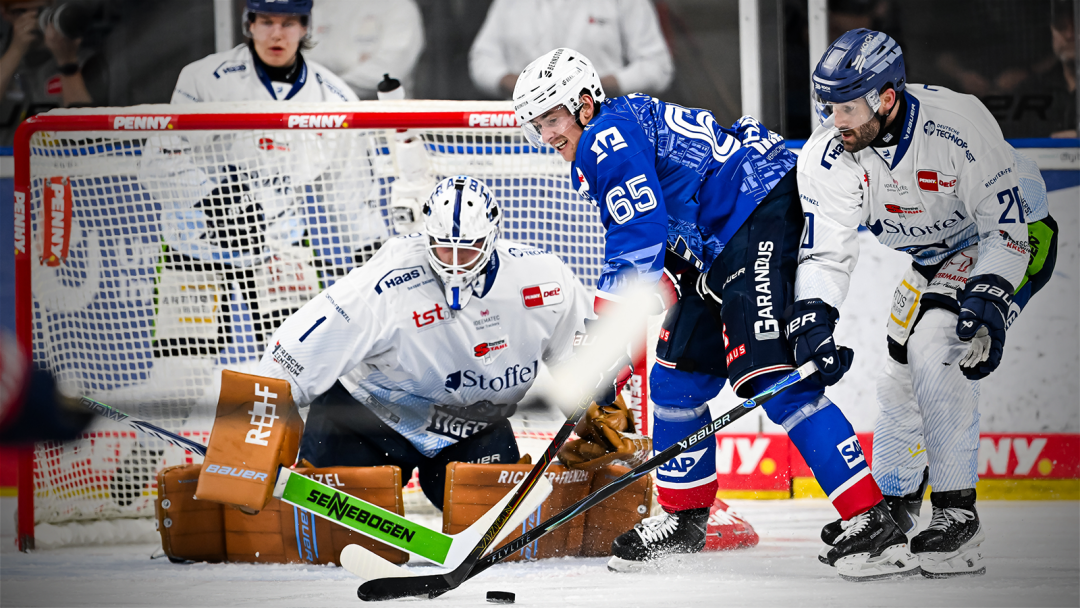 Heimniederlage gegen die Tigers