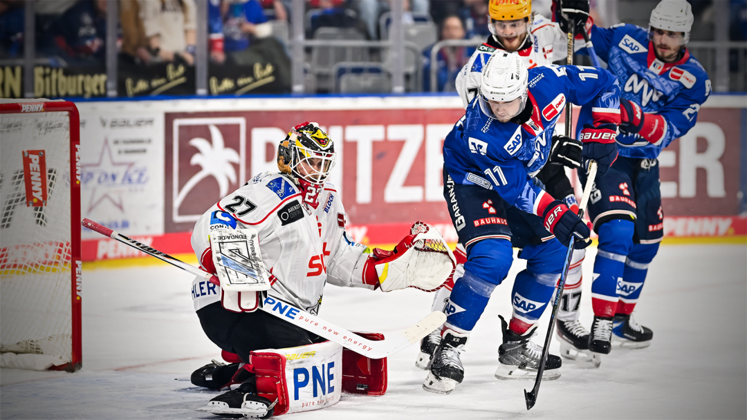 Adler stehen im Halbfinale