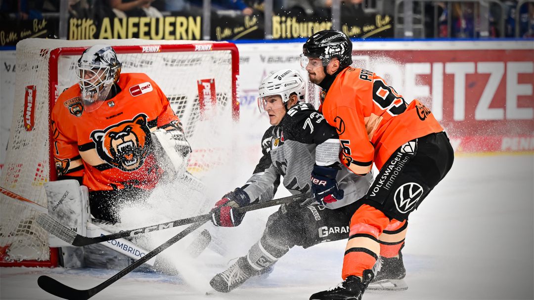Adler schlagen Grizzlys 