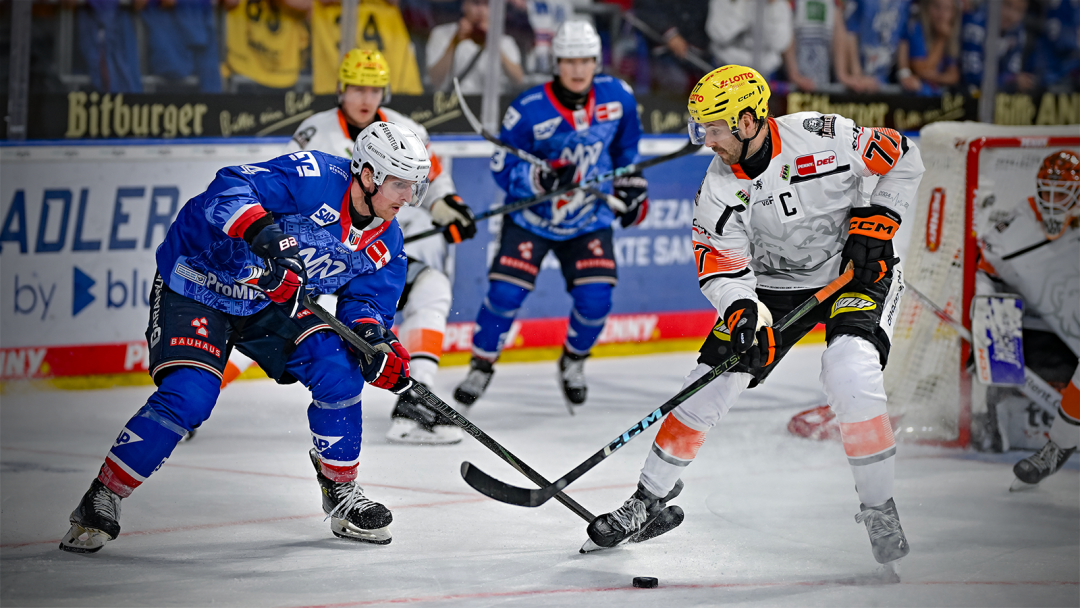 Eine Sache der Rivalität