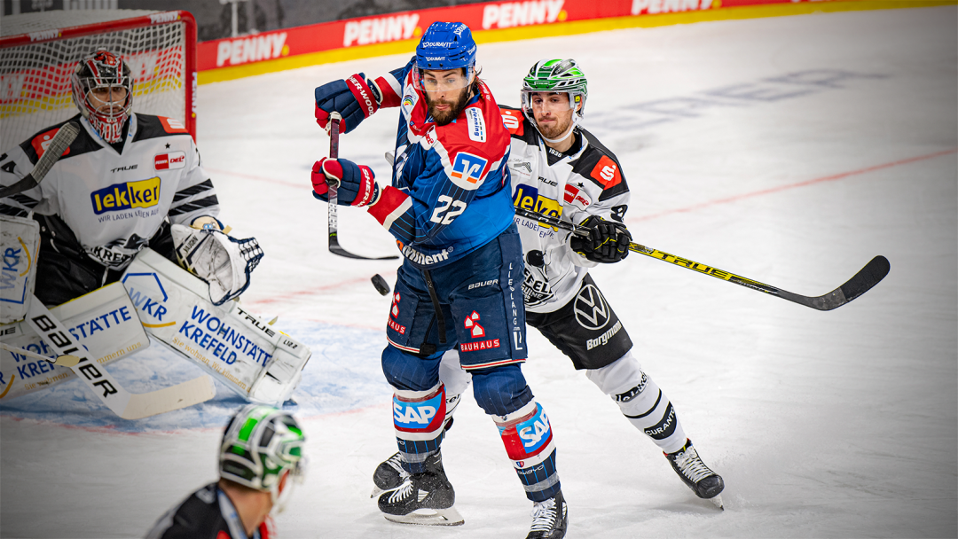 Krefeld Pinguine erhalten die Lizenz für die PENNY DEL