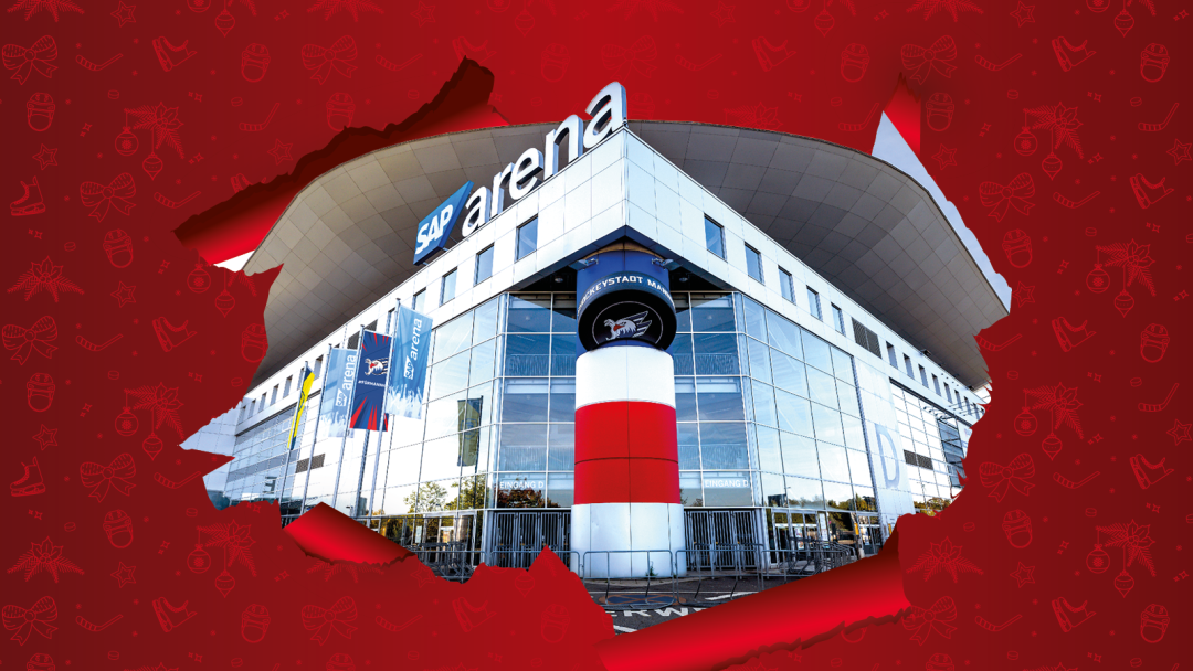 Dein Blick hinter die Kulissen