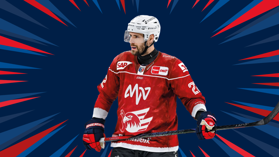 Game-Worn-Weihnachtstrikots auf eBay