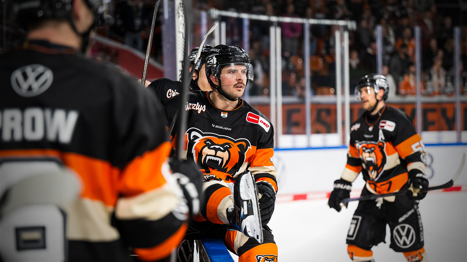 Grizzlys Wolfsbourg » Adler Mannheim